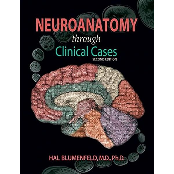 Neuroanatomy Through Clinical Cases, Second Edition with Sylvius 4
